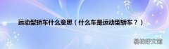 什么车是运动型轿车？ 运动型轿车什么意思