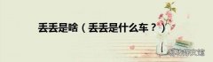 丢丢是什么车？ 丢丢是啥