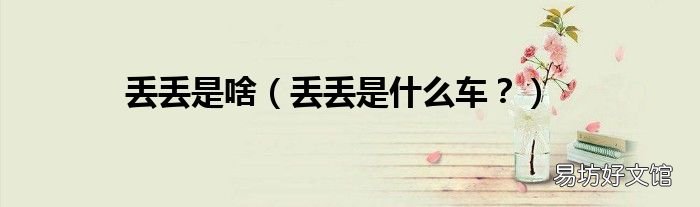 丢丢是什么车? 丢丢是啥