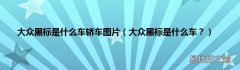 大众黑标是什么车？ 大众黑标是什么车轿车图片