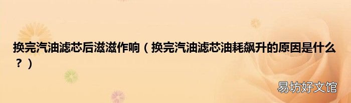换完汽油滤芯油耗飙升的原因是什么? 换完汽油滤芯后滋滋作响