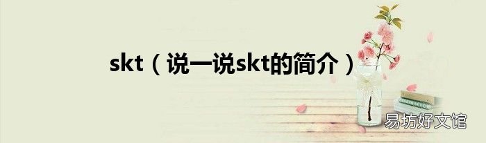 说一说skt的简介 skt