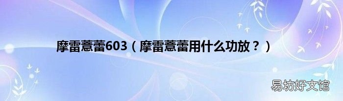 摩雷薏蕾用什么功放？ 摩雷薏蕾603