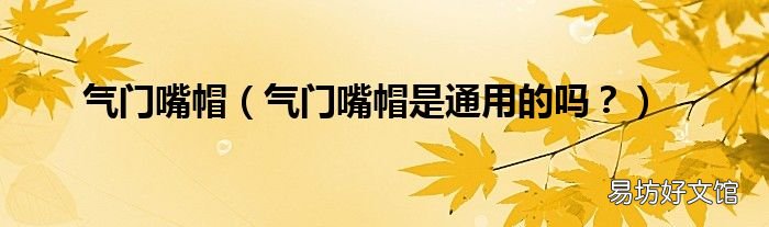 气门嘴帽是通用的吗? 气门嘴帽