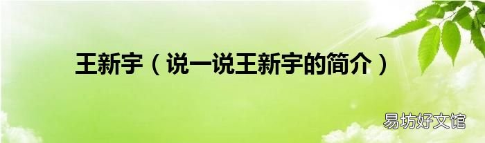 说一说王新宇的简介 王新宇