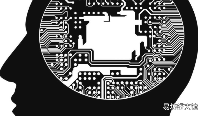 粒子物理学家与AI合作解决最棘手的科学问题