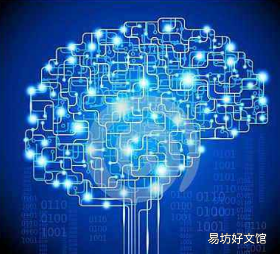 Google员工希望AI理事会脱离保守主义