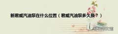 君威汽油泵多久换？ 新君威汽油泵在什么位置