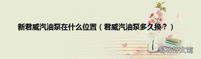 君威汽油泵多久换? 新君威汽油泵在什么位置