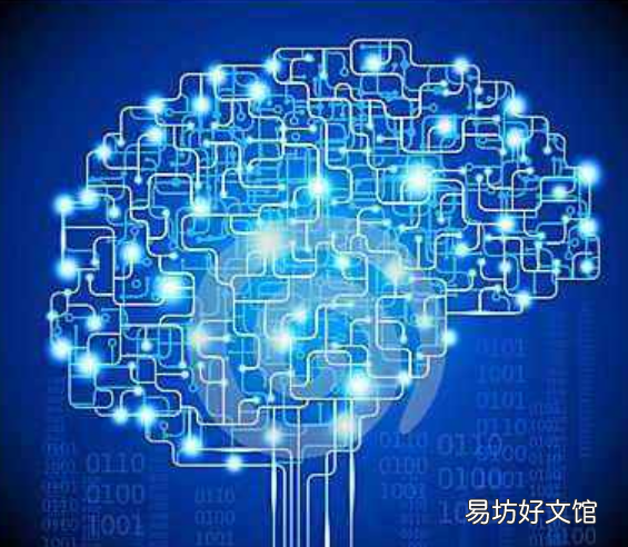 基于AI的视频系统可帮助老年人保持安全和独立