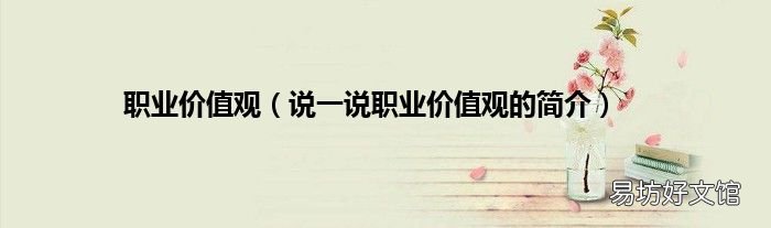 说一说职业价值观的简介 职业价值观