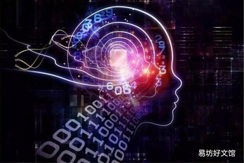 企业规模的AI策略剖析