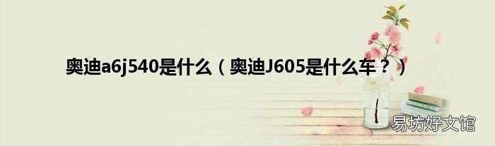 奥迪J605是什么车? 奥迪a6j540是什么
