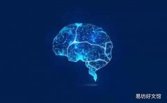 何时以及如何开始数字转换计划中的深度学习
