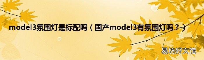 国产model3有氛围灯吗? model3氛围灯是标配吗