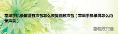 苹果手机录屏怎么内录声音 苹果手机录屏没有声音怎么恢复视频声音