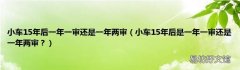 小车15年后是一年一审还是一年两审？ 小车15年后一年一审还是一年两审