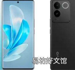 Vivo S17e智能手机有黑色和薄荷色两种颜色可供选择