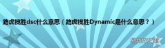 路虎揽胜Dynamic是什么意思？ 路虎揽胜dsc什么意思