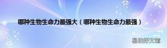 哪种生物生命力最强 哪种生物生命力最强大