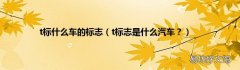 t标志是什么汽车？ t标什么车的标志