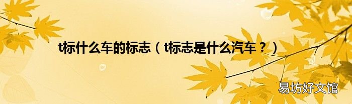 t标志是什么汽车? t标什么车的标志