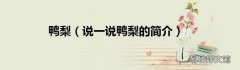 说一说鸭梨的简介 鸭梨