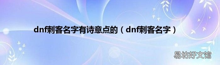 dnf刺客名字 dnf刺客名字有诗意点的
