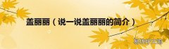 说一说盖丽丽的简介 盖丽丽