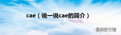 说一说cae的简介 cae