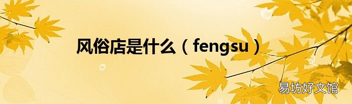 fengsu 风俗店是什么