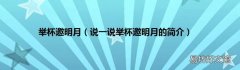 说一说举杯邀明月的简介 举杯邀明月