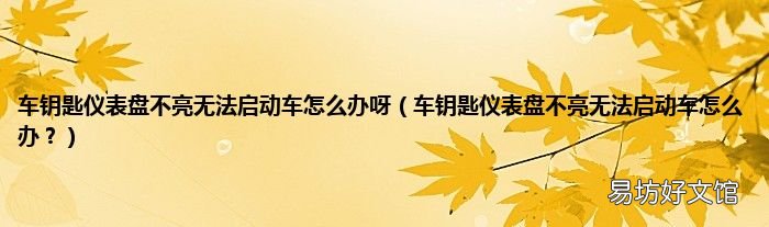 车钥匙仪表盘不亮无法启动车怎么办? 车钥匙仪表盘不亮无法启动车怎么办呀
