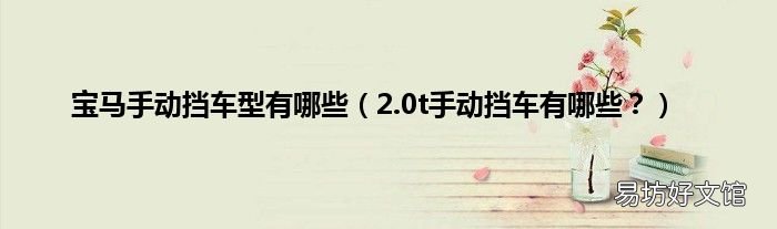 2.0t手动挡车有哪些？ 宝马手动挡车型有哪些