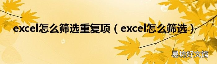 excel怎么筛选 excel怎么筛选重复项