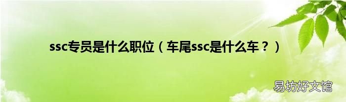 车尾ssc是什么车? ssc专员是什么职位