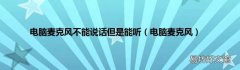 电脑麦克风 电脑麦克风不能说话但是能听