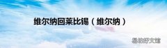 维尔纳 维尔纳回莱比锡