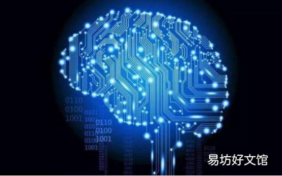 Tulip在关闭期间启动网络聊天和远程支付以帮助零售商