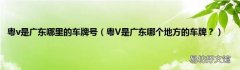 粤V是广东哪个地方的车牌？ 粤v是广东哪里的车牌号