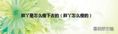 胖丫怎么瘦的 胖丫是怎么瘦下去的
