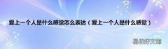 爱上一个人是什么感觉 爱上一个人是什么感觉怎么表达