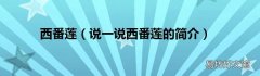 说一说西番莲的简介 西番莲