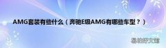 奔驰E级AMG有哪些车型？ AMG套装有些什么