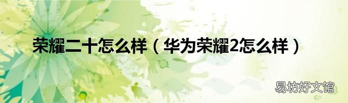 华为荣耀2怎么样 荣耀二十怎么样