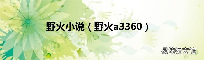 野火a3360 野火小说