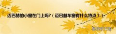 迈巴赫车窗有什么特点？ 迈巴赫的小窗在门上吗?