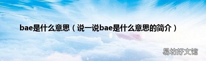 说一说bae是什么意思的简介 bae是什么意思