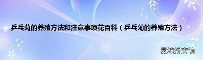 乒乓菊的养殖方法 乒乓菊的养殖方法和注意事项花百科