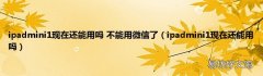 ipadmini1现在还能用吗 ipadmini1现在还能用吗 不能用微信了